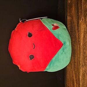 Walsh the Rose Squishmallow